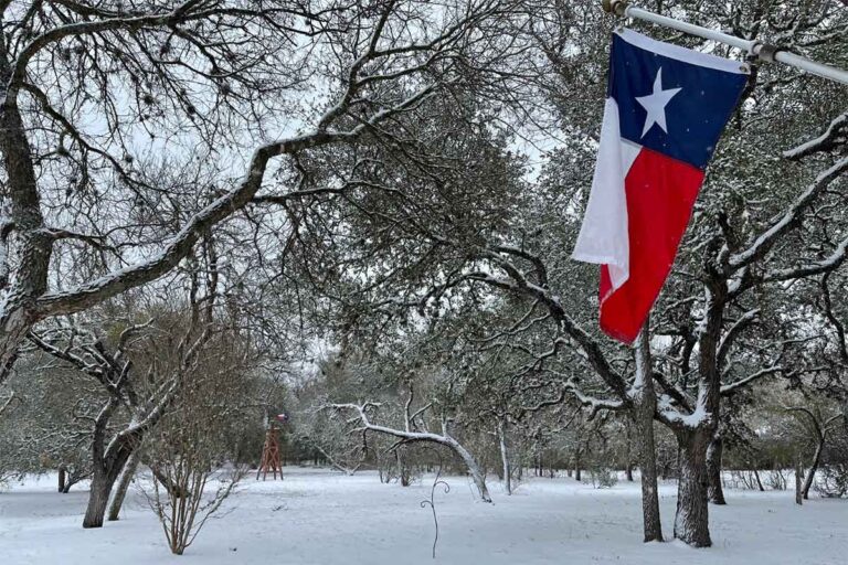 Does It Snow In Texas? Where? (Austin, Dallas, Etc.) - Sunlight Living