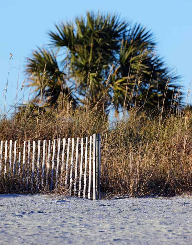 Palmetto Dunes, South Carolina