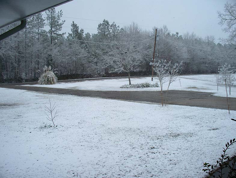 Winter Snow, Alabama